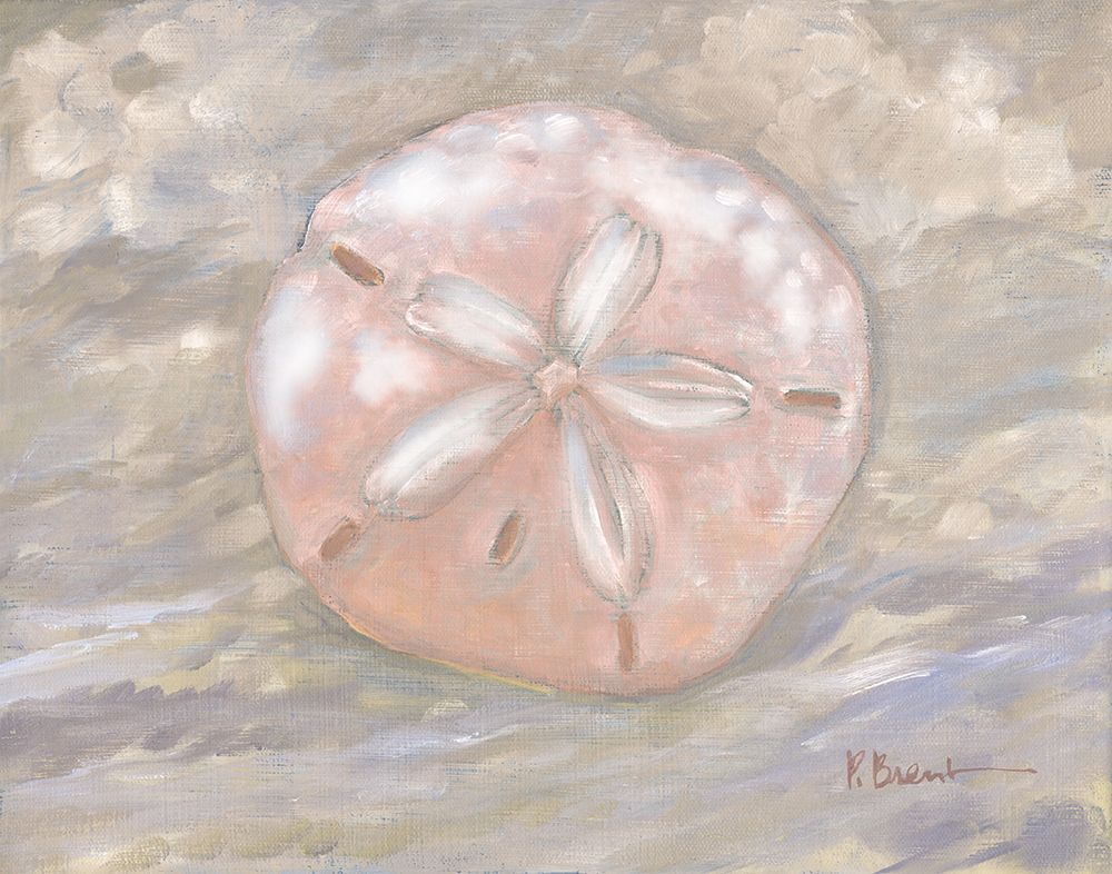 Impressions of Shells I - Sand Dollar - Peach art print by Paul Brent for $57.95 CAD