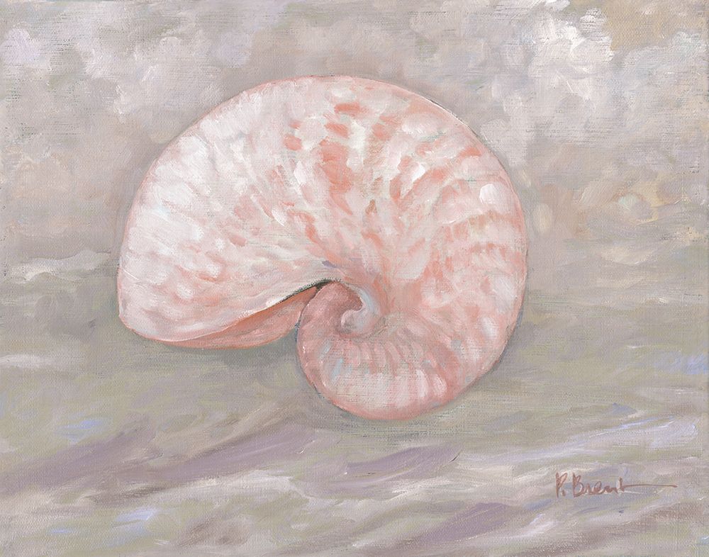 Impressions of Shells III - Nautilus - Peach art print by Paul Brent for $57.95 CAD