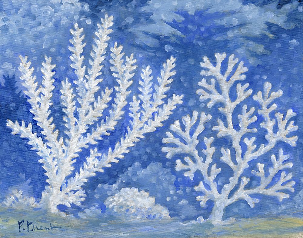 Impressions of Coral II - Horizontal art print by Paul Brent for $57.95 CAD