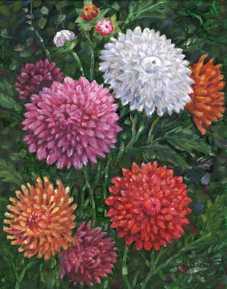 Impressions of Dahlias art print by Paul Brent for $57.95 CAD