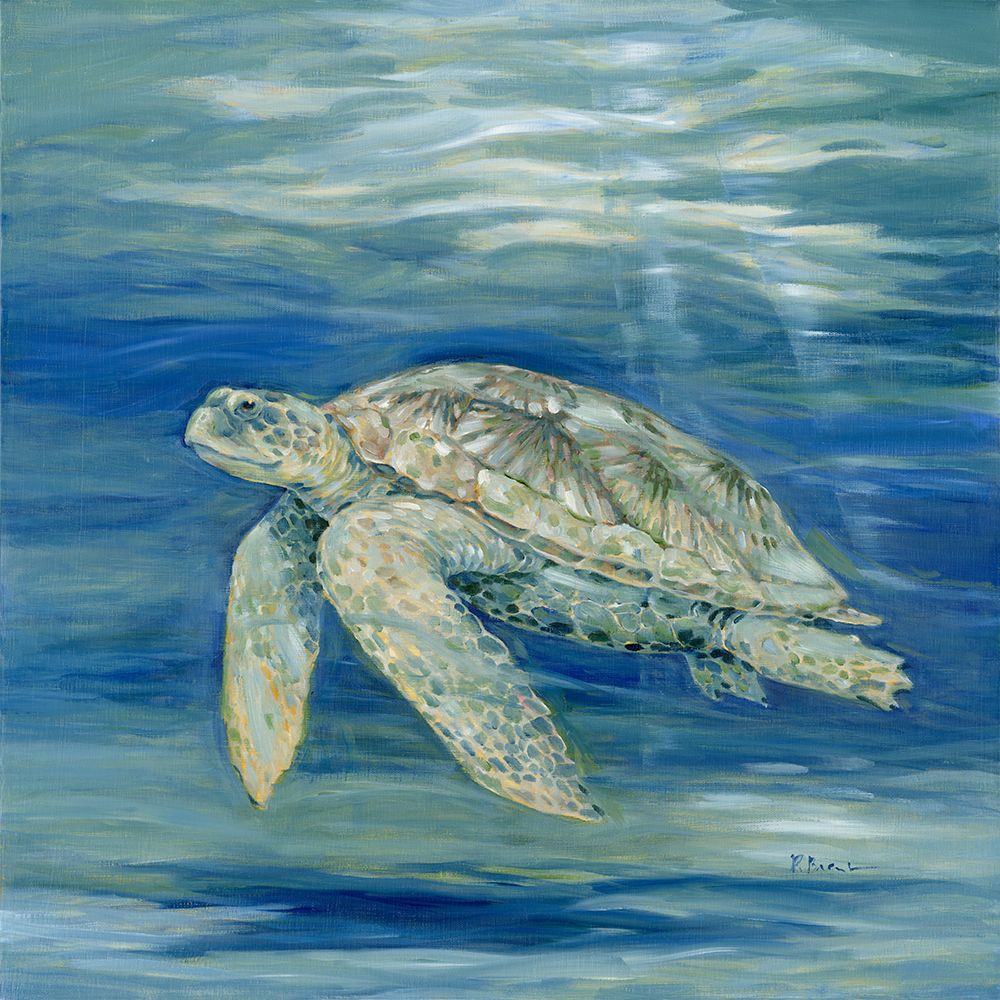 Blue Lagoon Turtle art print by Paul Brent for $57.95 CAD
