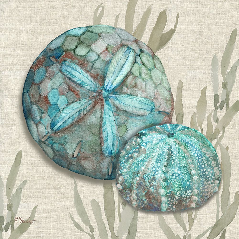 Crescent Beach Shells I art print by Paul Brent for $57.95 CAD