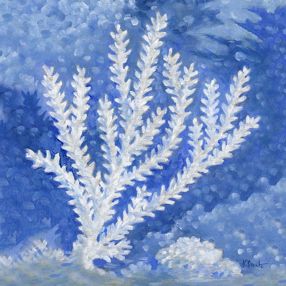 Impressions of Coral IV art print by Paul Brent for $57.95 CAD