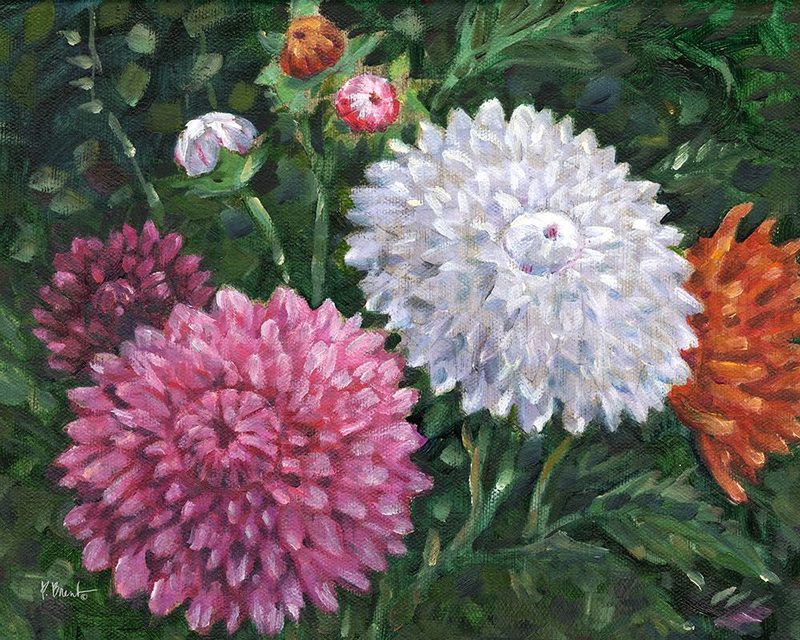 Impressions of Dahlias Horizontal I art print by Paul Brent for $57.95 CAD