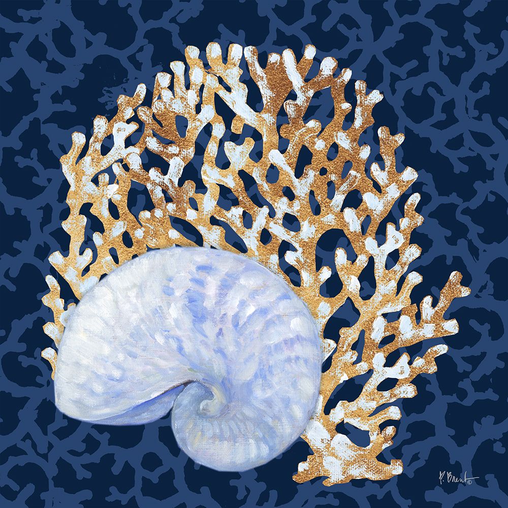 Jetty Shells II art print by Paul Brent for $57.95 CAD