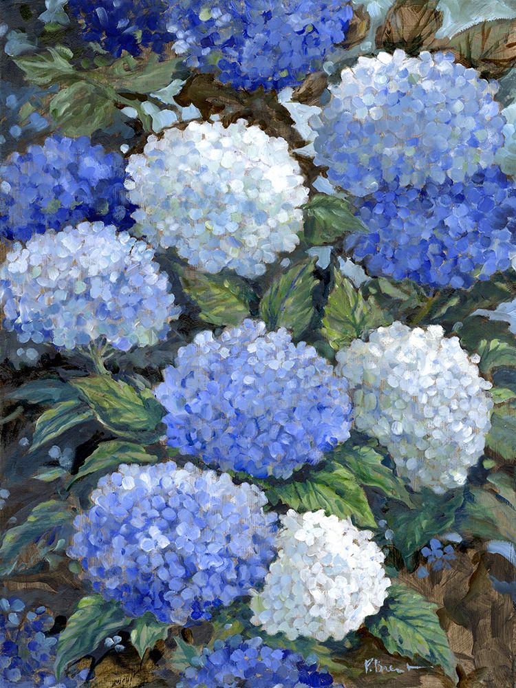 Impressions of Hydrangeas I art print by Paul Brent for $57.95 CAD