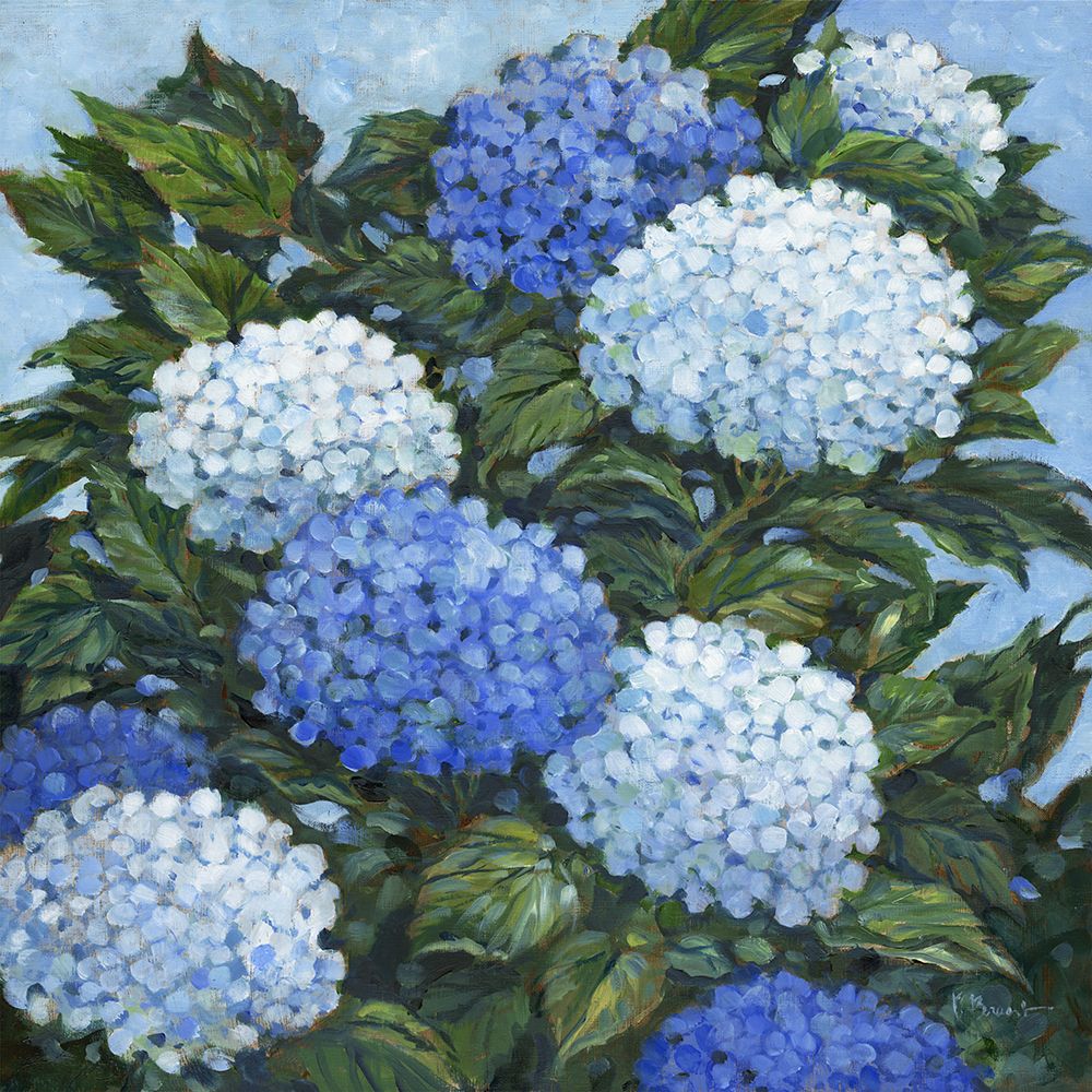 Impressions of Hydrangeas II art print by Paul Brent for $57.95 CAD