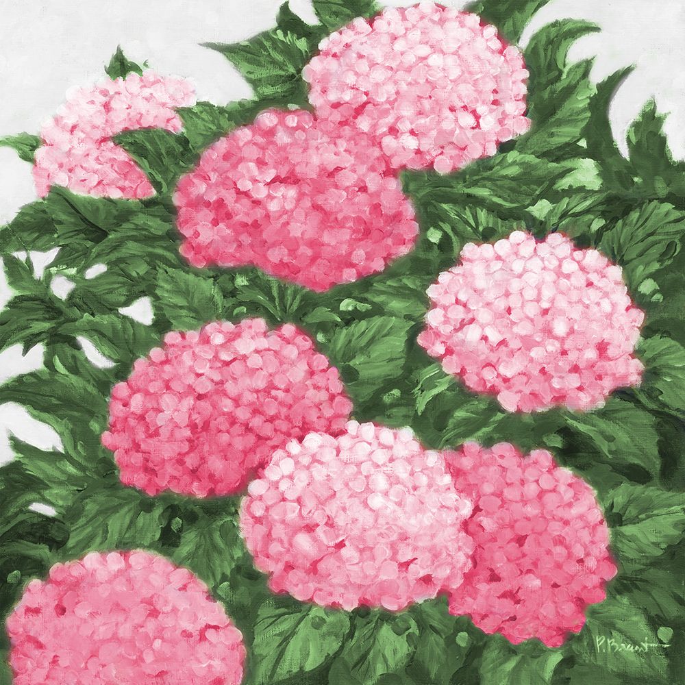 Impressions of Hydrangeas III - Pink art print by Paul Brent for $57.95 CAD