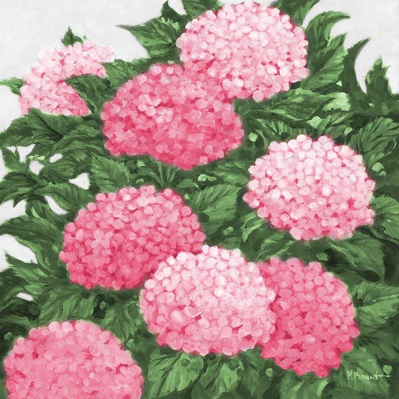 Impressions of Hydrangeas III - Pink art print by Paul Brent for $57.95 CAD