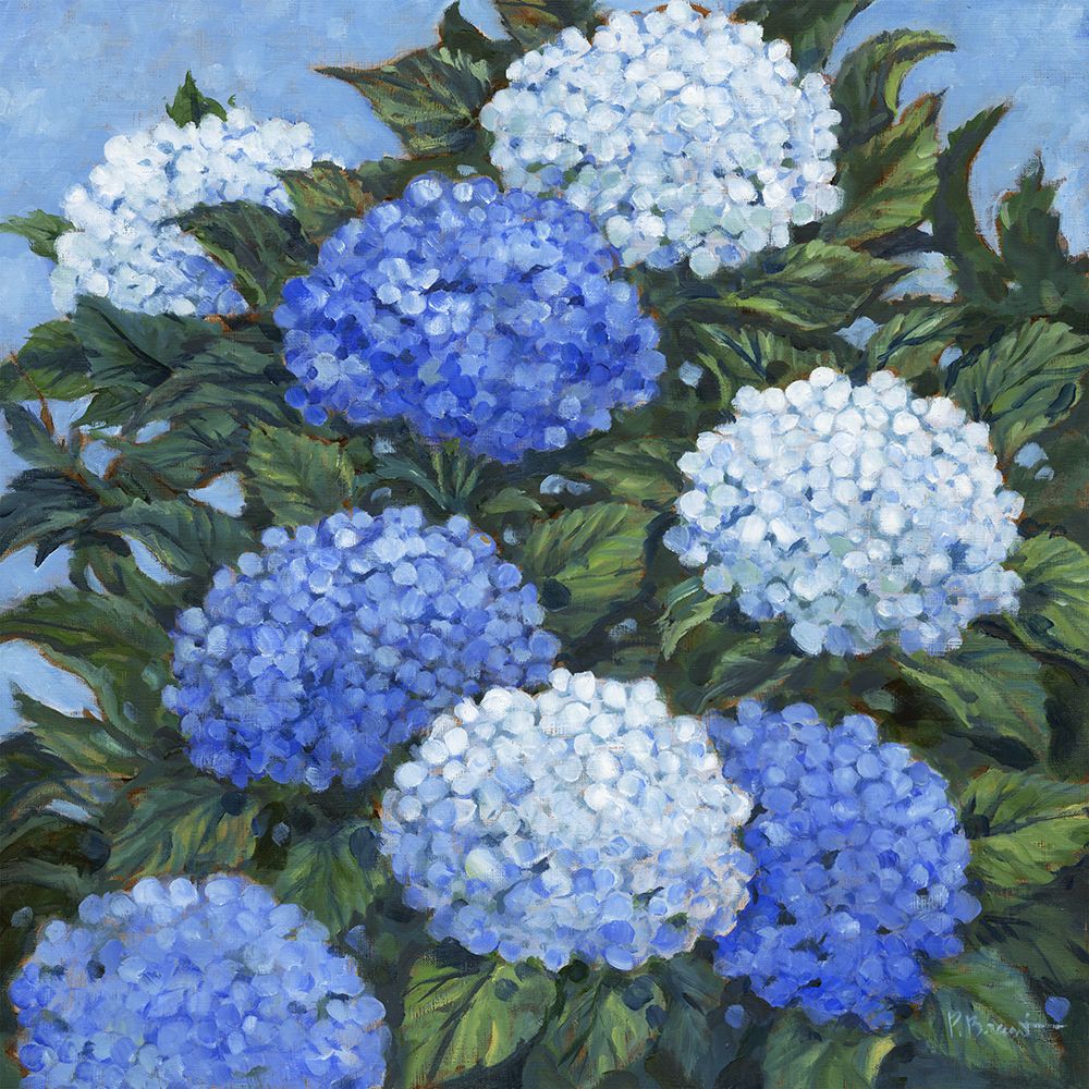 Impressions of Hydrangeas III art print by Paul Brent for $57.95 CAD