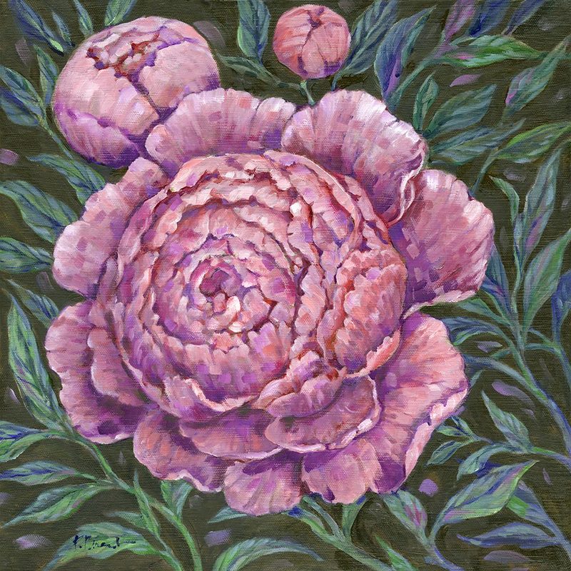 Impressions of Peonies art print by Paul Brent for $57.95 CAD