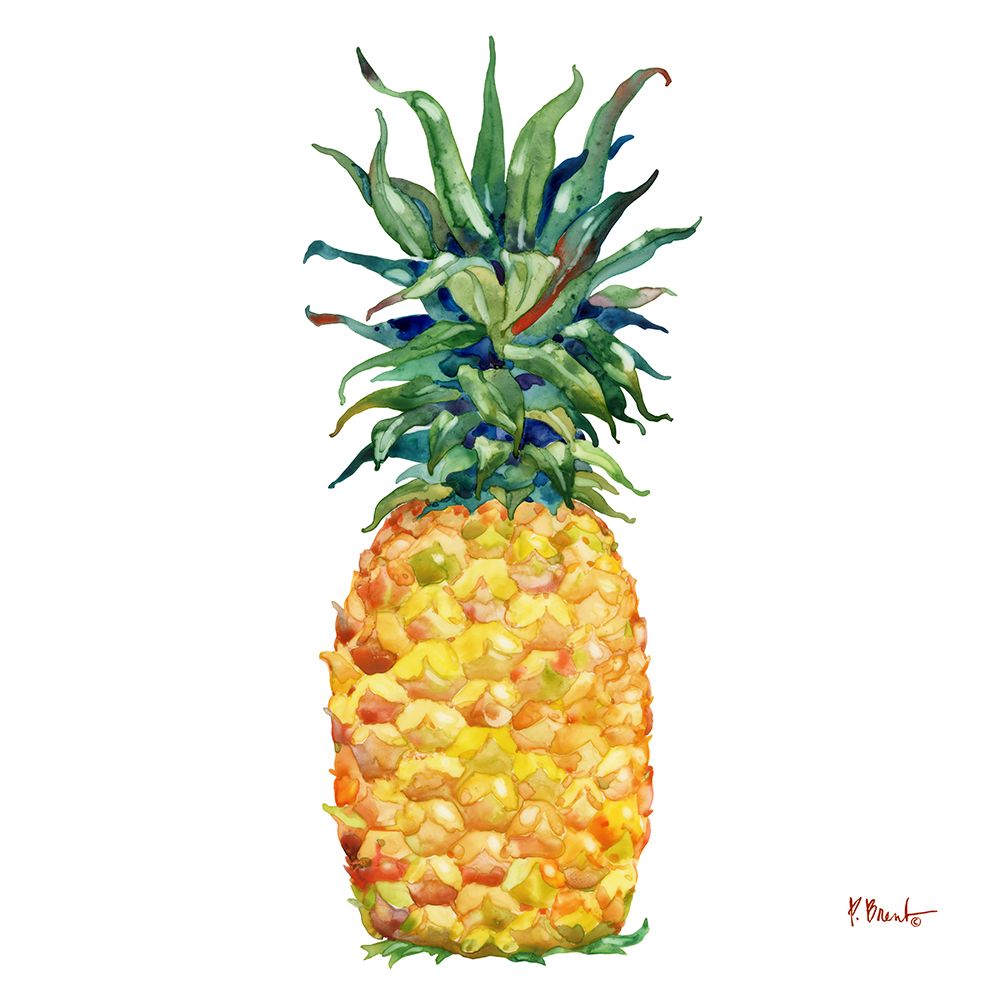 Kona Pineapple I art print by Paul Brent for $57.95 CAD