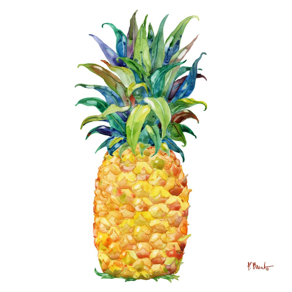 Kona Pineapple II art print by Paul Brent for $57.95 CAD