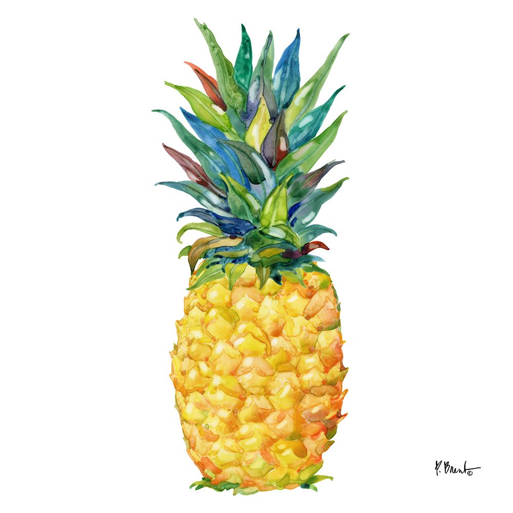 Kona Pineapple III art print by Paul Brent for $57.95 CAD