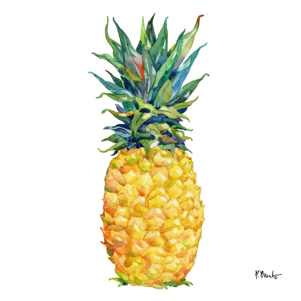 Kona Pineapple IV art print by Paul Brent for $57.95 CAD