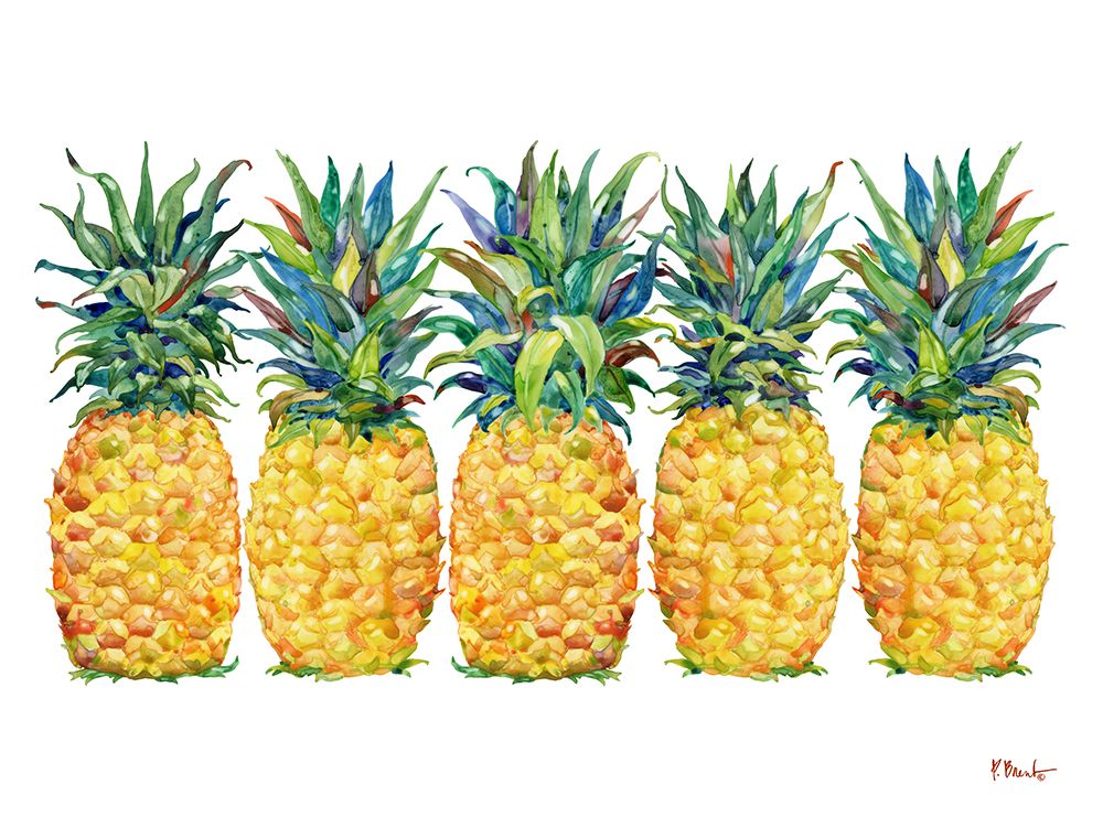 Kona Pineapple Horizontal art print by Paul Brent for $57.95 CAD