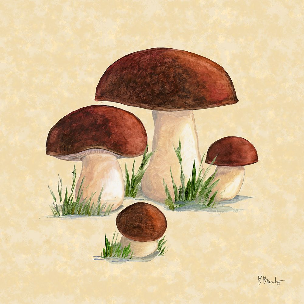 Mushroom Patch I - Parchment art print by Paul Brent for $57.95 CAD