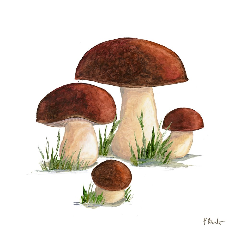 Mushroom Patch I art print by Paul Brent for $57.95 CAD