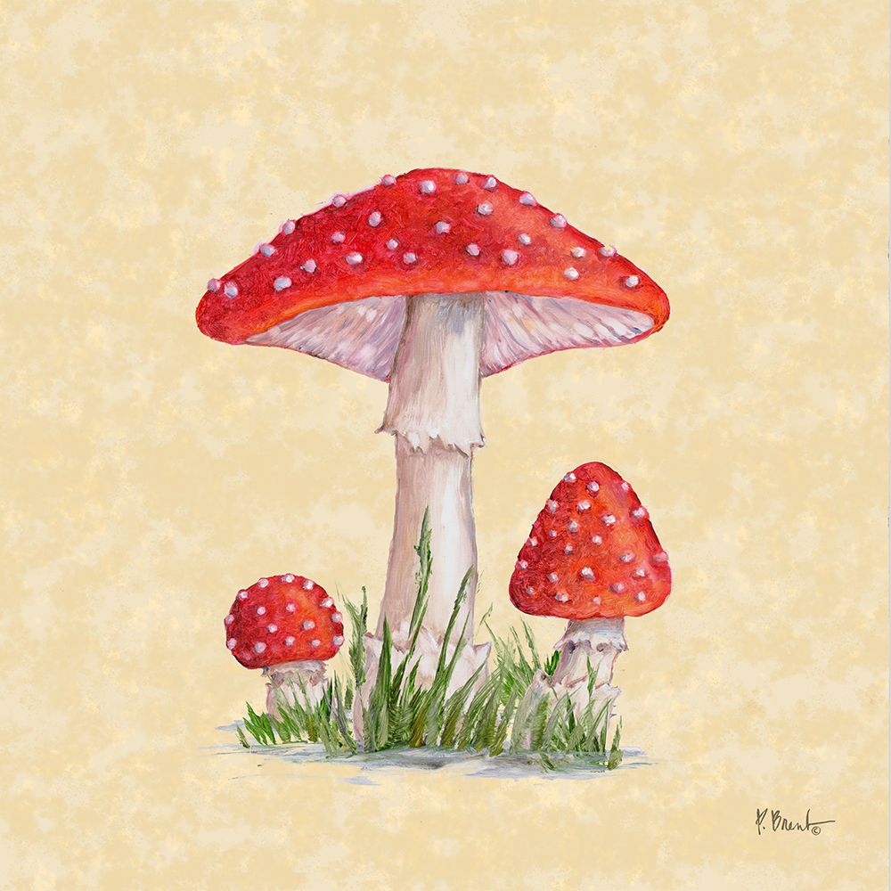 Mushroom Patch II - Parchment art print by Paul Brent for $57.95 CAD