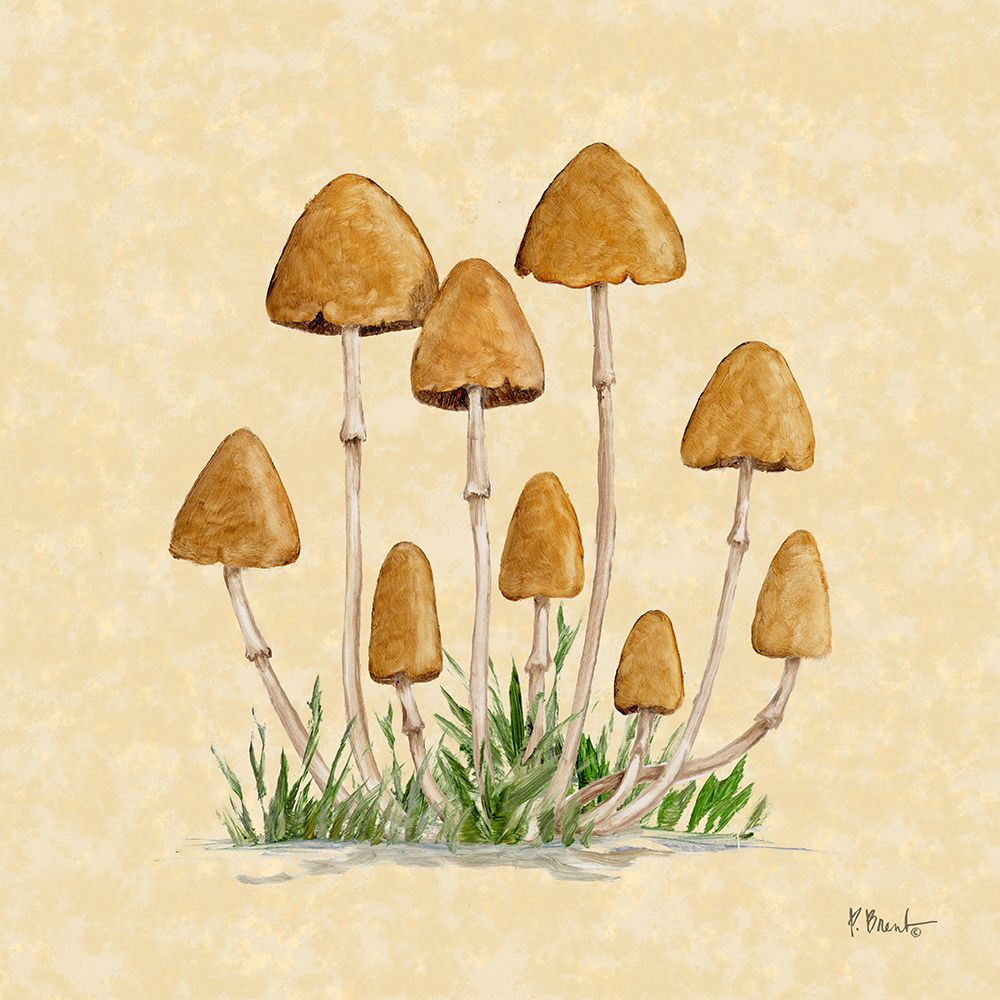Mushroom Patch III - Parchment art print by Paul Brent for $57.95 CAD