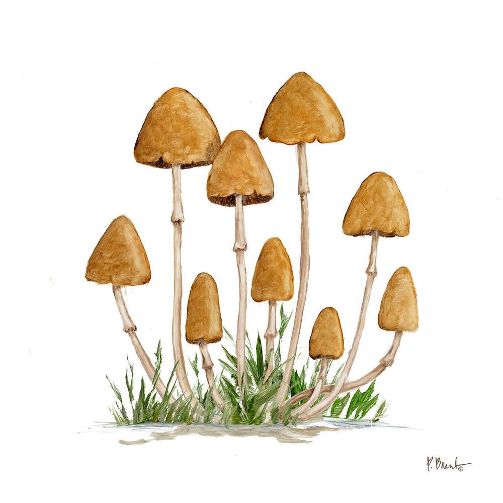 Mushroom Patch III art print by Paul Brent for $57.95 CAD