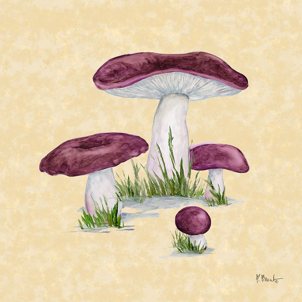 Mushroom Patch IV - Parchment art print by Paul Brent for $57.95 CAD