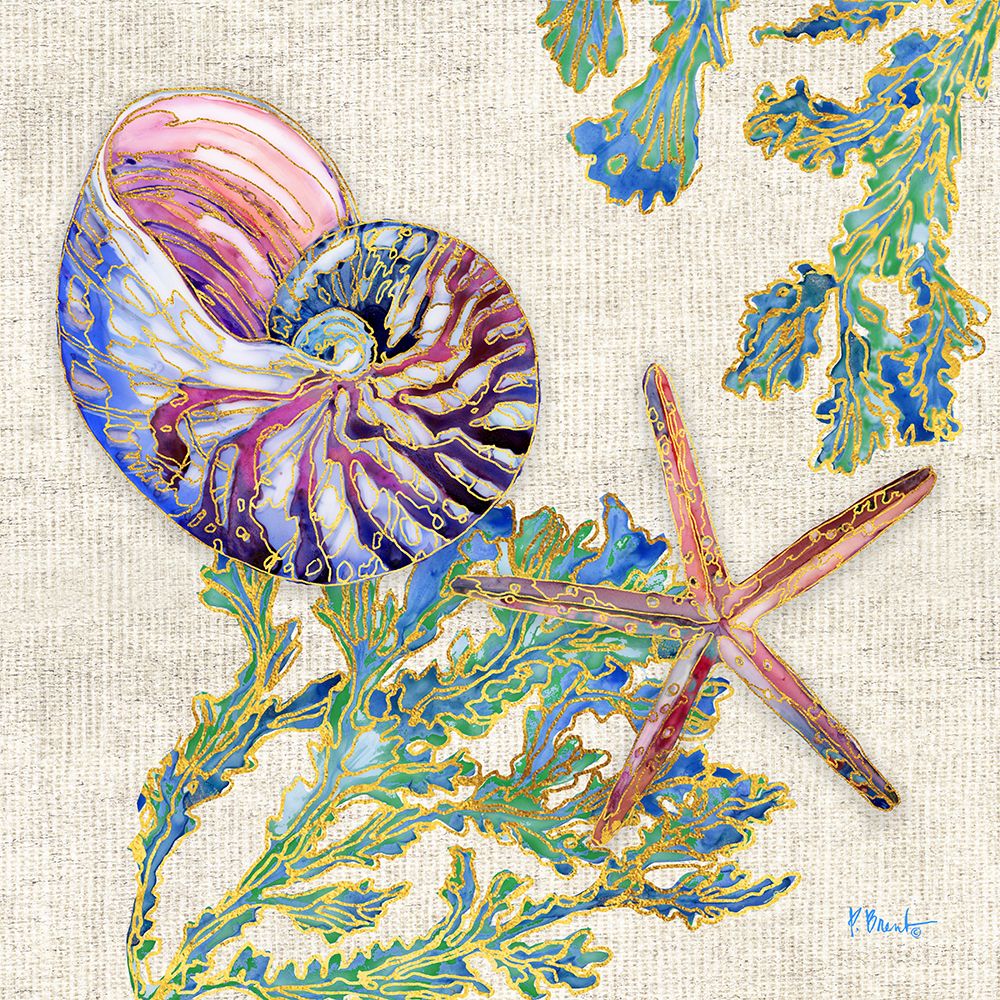 Spectrum Shells I ├óΓé¼ΓÇ£ Natural art print by Paul Brent for $57.95 CAD