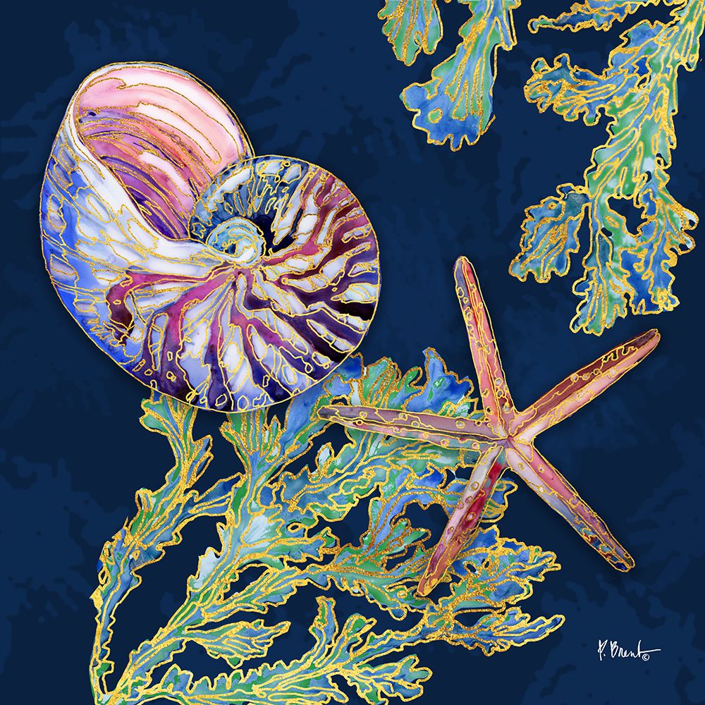 Spectrum Shells I art print by Paul Brent for $57.95 CAD