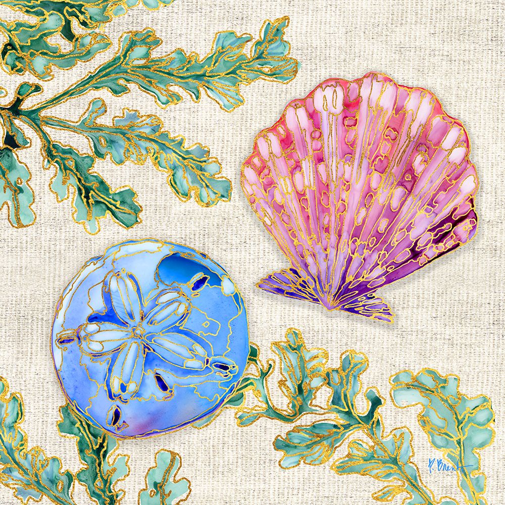 Spectrum Shells II ├óΓé¼ΓÇ£ Natural art print by Paul Brent for $57.95 CAD