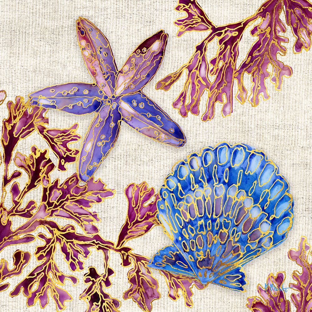 Spectrum Shells III ├óΓé¼ΓÇ£ Natural art print by Paul Brent for $57.95 CAD
