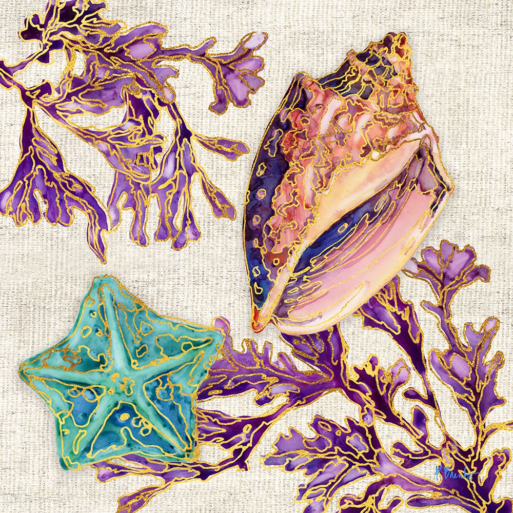 Spectrum Shells IV ├óΓé¼ΓÇ£ Natural art print by Paul Brent for $57.95 CAD