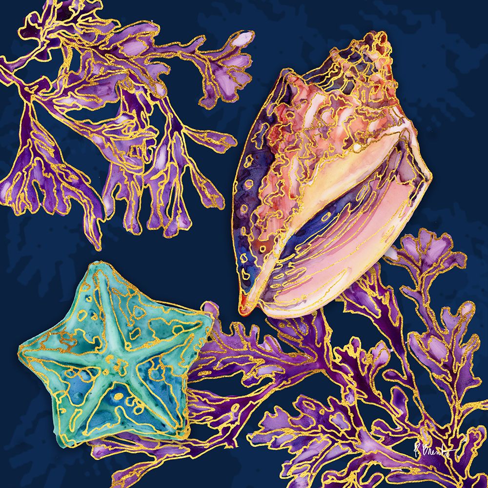 Spectrum Shells IV art print by Paul Brent for $57.95 CAD
