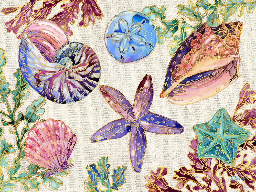 Spectrum Shells Horizontal ├óΓé¼ΓÇ£ Natural art print by Paul Brent for $57.95 CAD