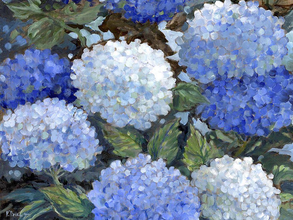 Impressions of Hydrangeas Horizontal art print by Paul Brent for $57.95 CAD