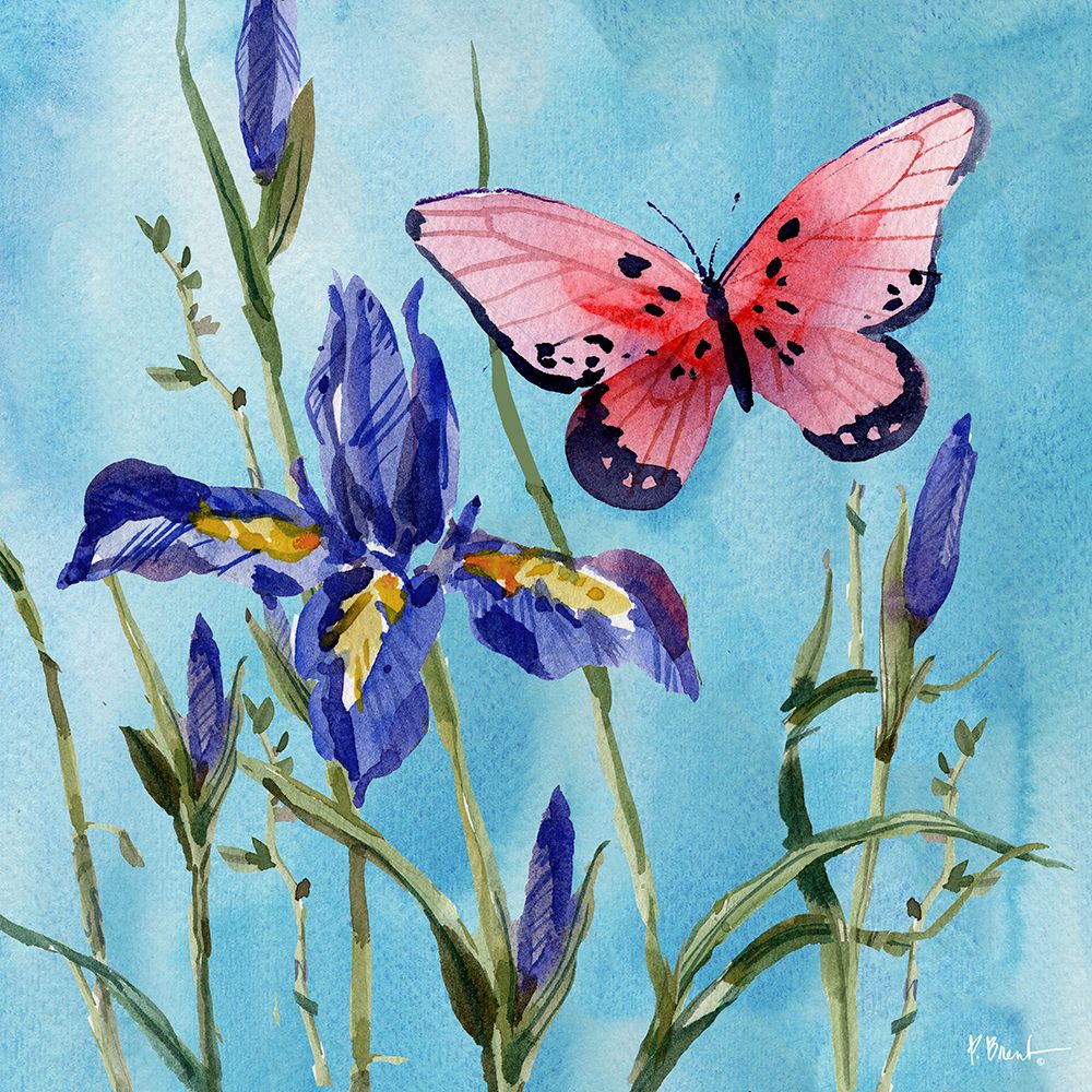 Poetic Butterfly IV art print by Paul Brent for $57.95 CAD