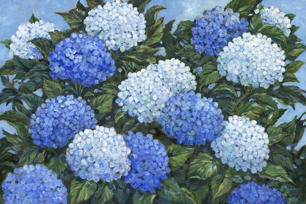 Impressions of Hydrangeas Horizontal II art print by Paul Brent for $57.95 CAD