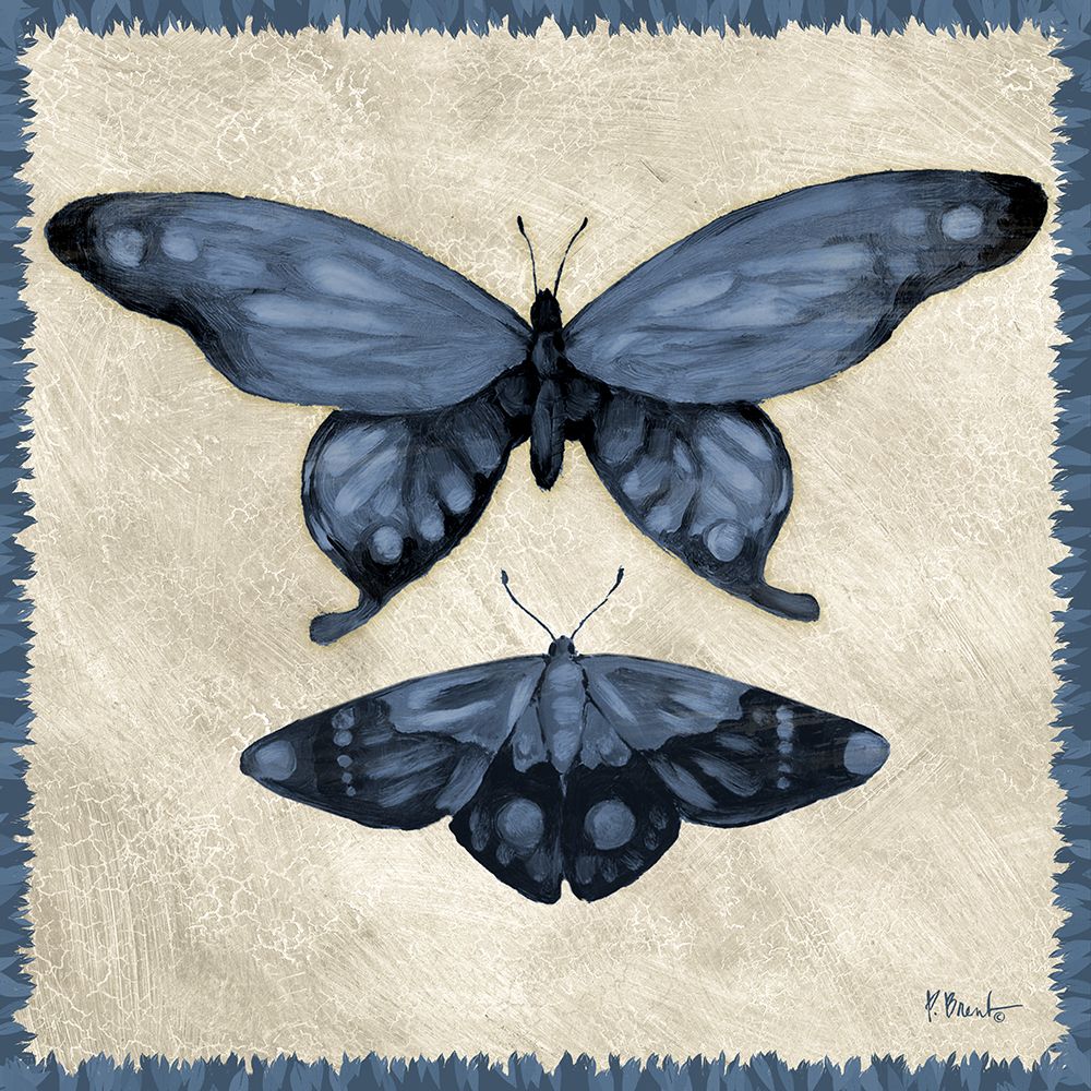 Belle Butterflies II art print by Paul Brent for $57.95 CAD