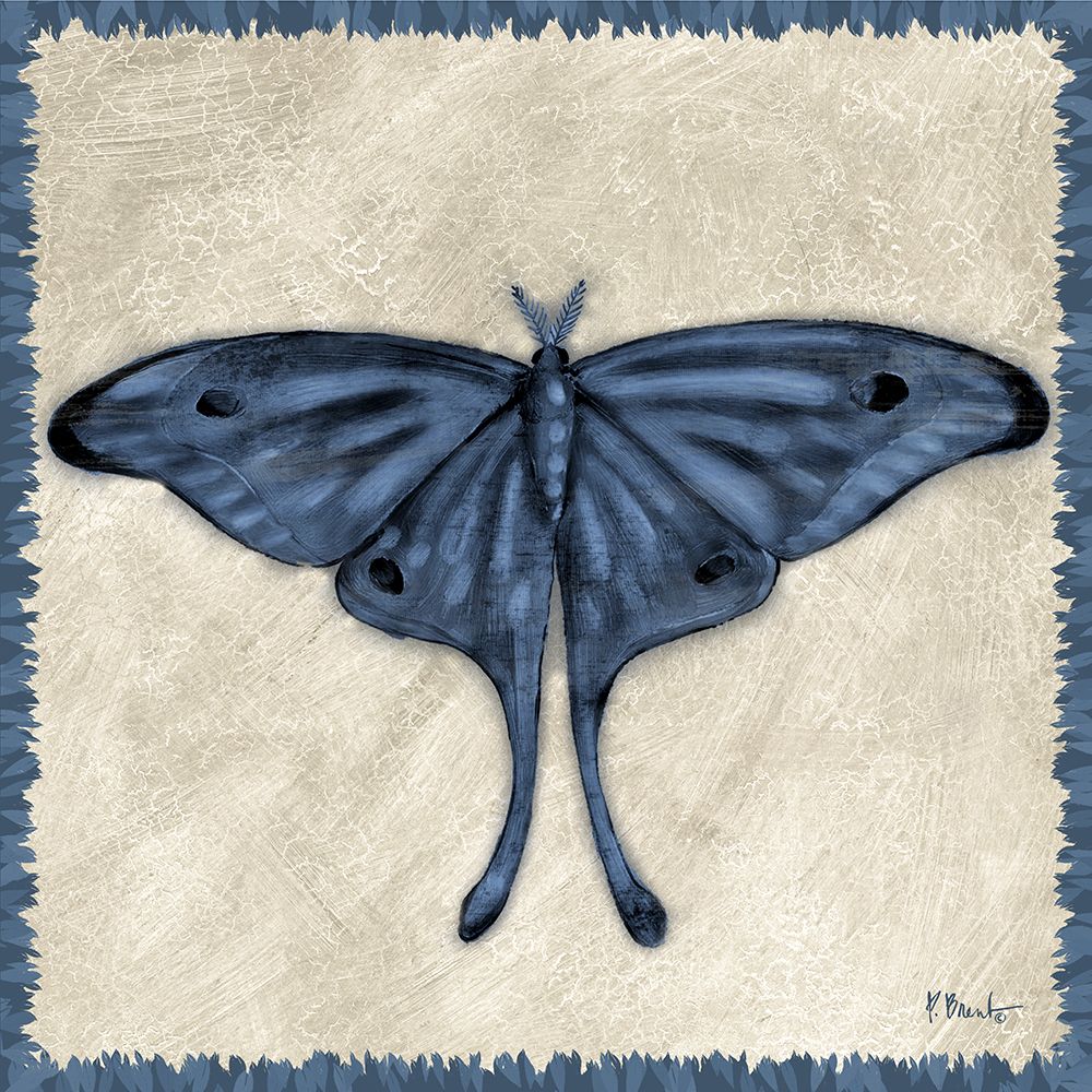 Belle Butterflies IV art print by Paul Brent for $57.95 CAD