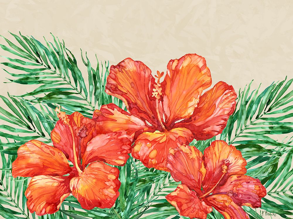 Hanalei Hibiscus Horizontal - Natural art print by Paul Brent for $57.95 CAD