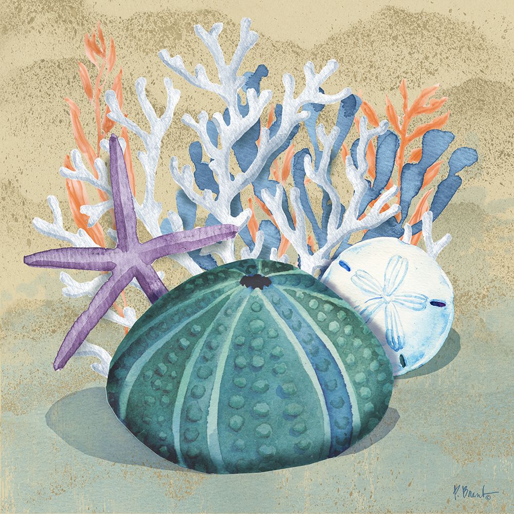 Monterey Urchin I - Sand art print by Paul Brent for $57.95 CAD