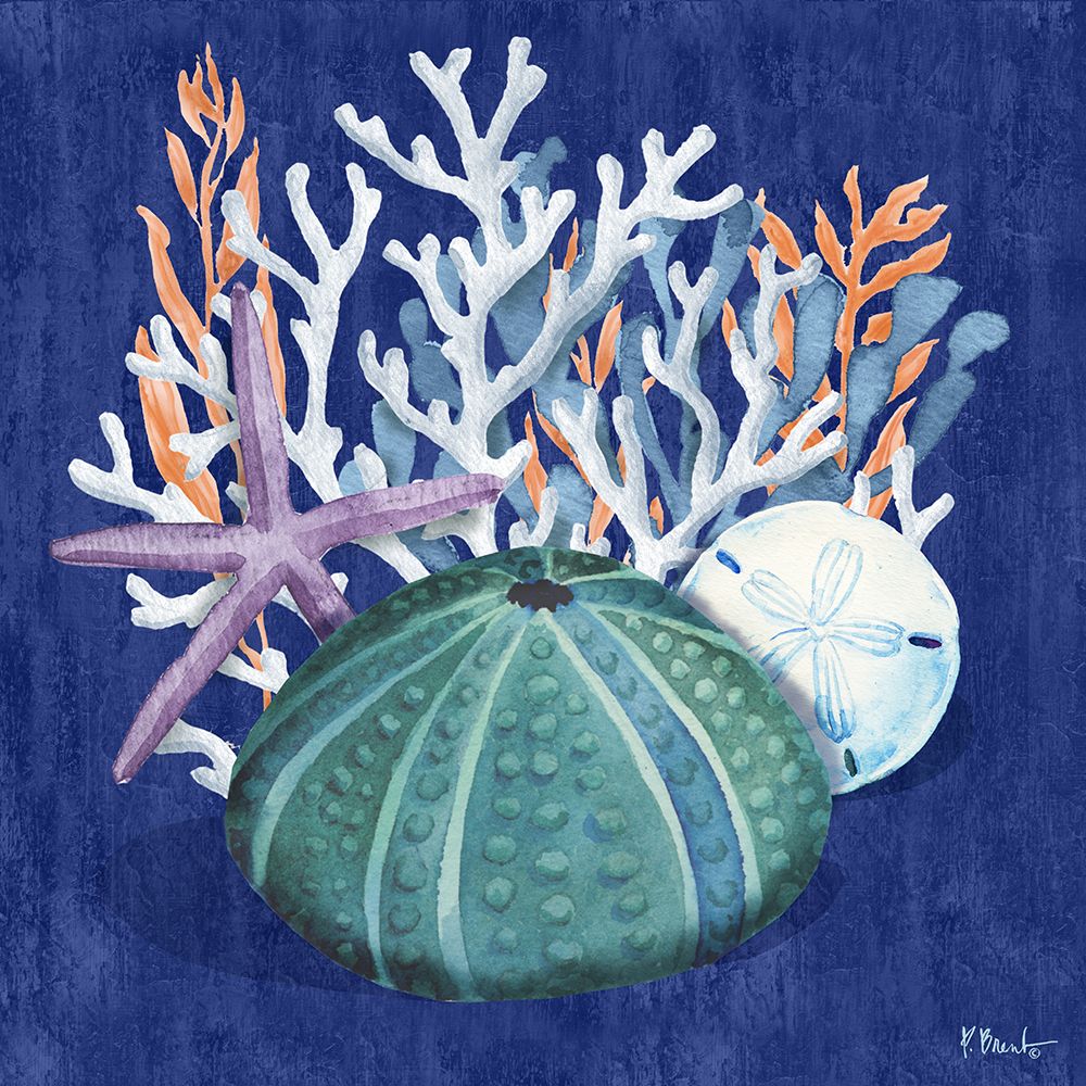 Monterey Urchin I art print by Paul Brent for $57.95 CAD