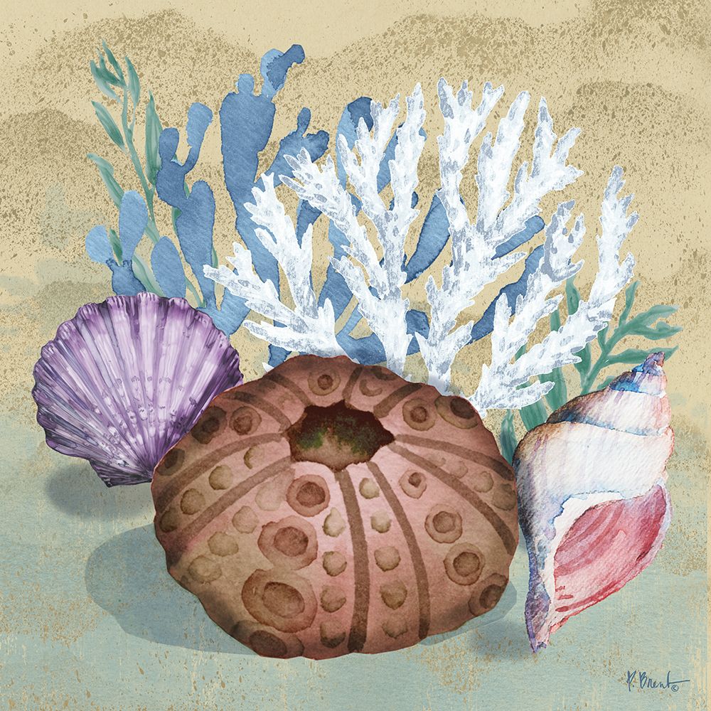 Monterey Urchin II - Sand art print by Paul Brent for $57.95 CAD
