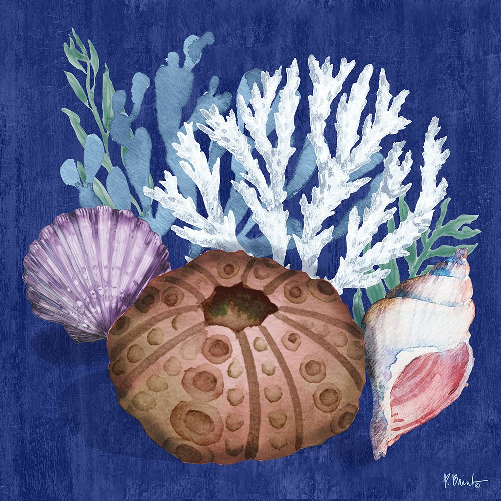 Monterey Urchin II art print by Paul Brent for $57.95 CAD