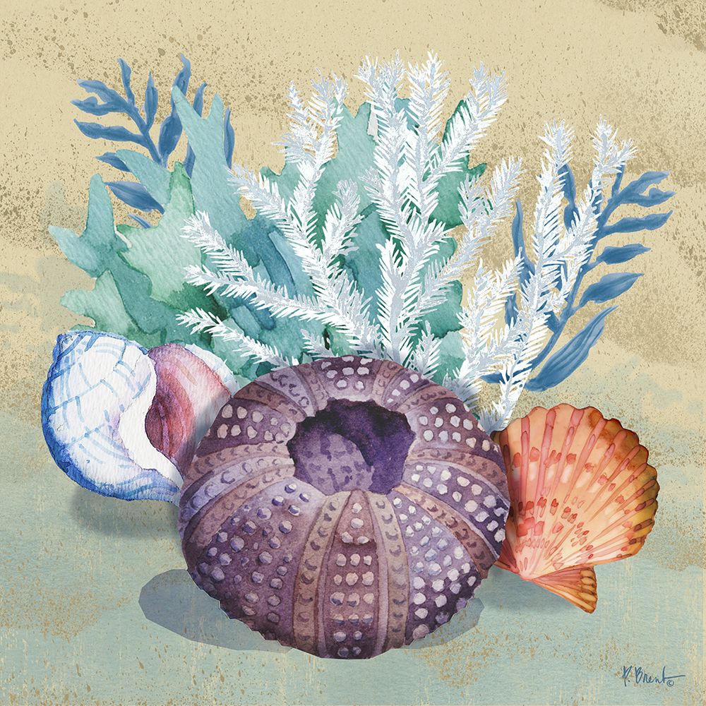 Monterey Urchin III - Sand art print by Paul Brent for $57.95 CAD