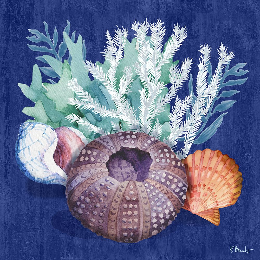 Monterey Urchin III art print by Paul Brent for $57.95 CAD