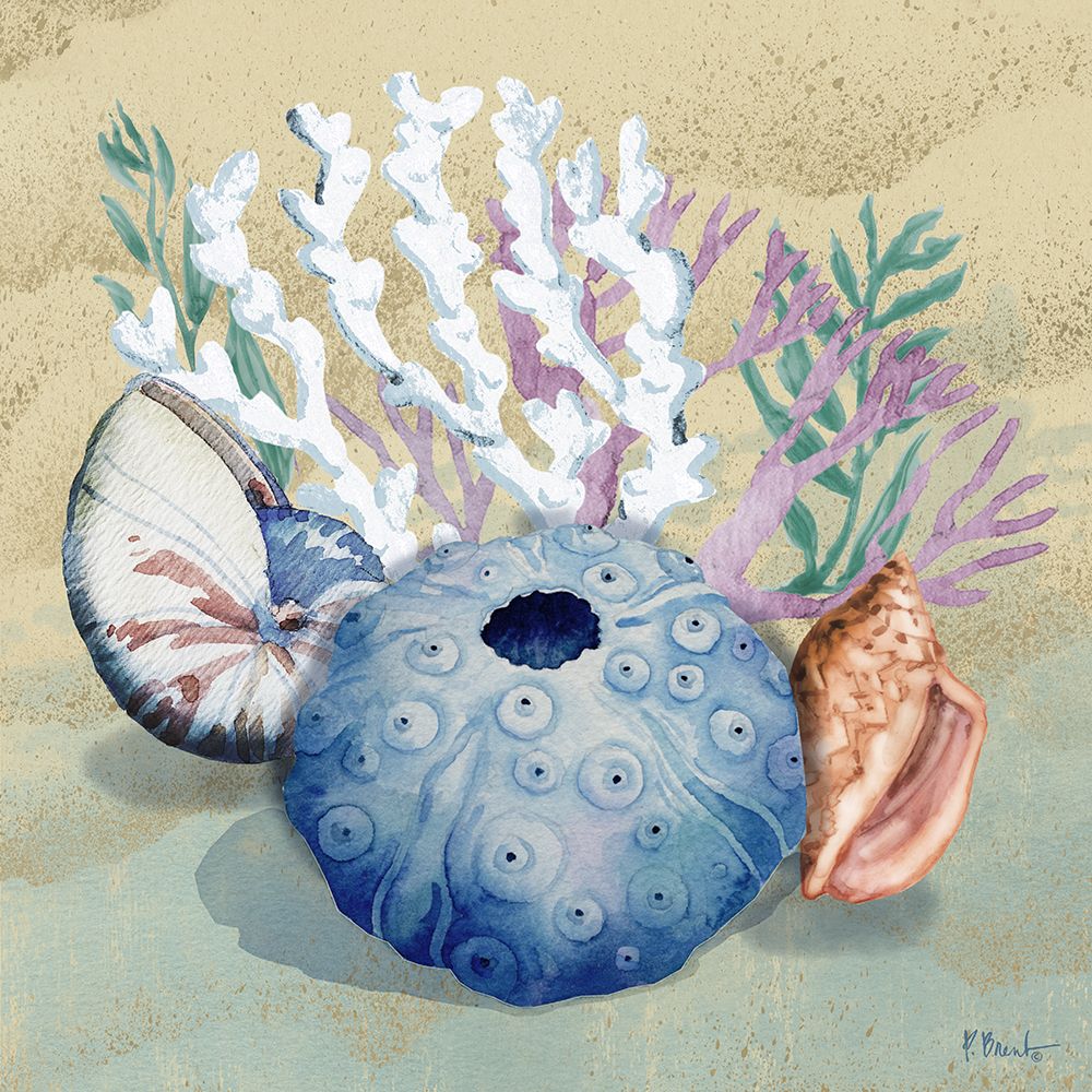 Monterey Urchin IV- Sand art print by Paul Brent for $57.95 CAD