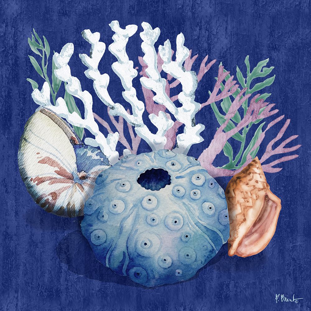 Monterey Urchin IV art print by Paul Brent for $57.95 CAD