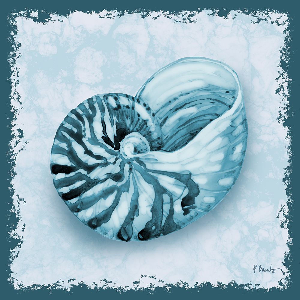 Perth Shells II art print by Paul Brent for $57.95 CAD
