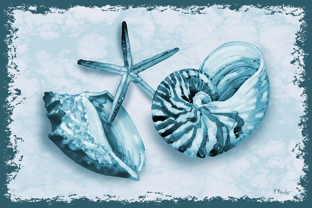 Perth Shells Horizontal art print by Paul Brent for $57.95 CAD