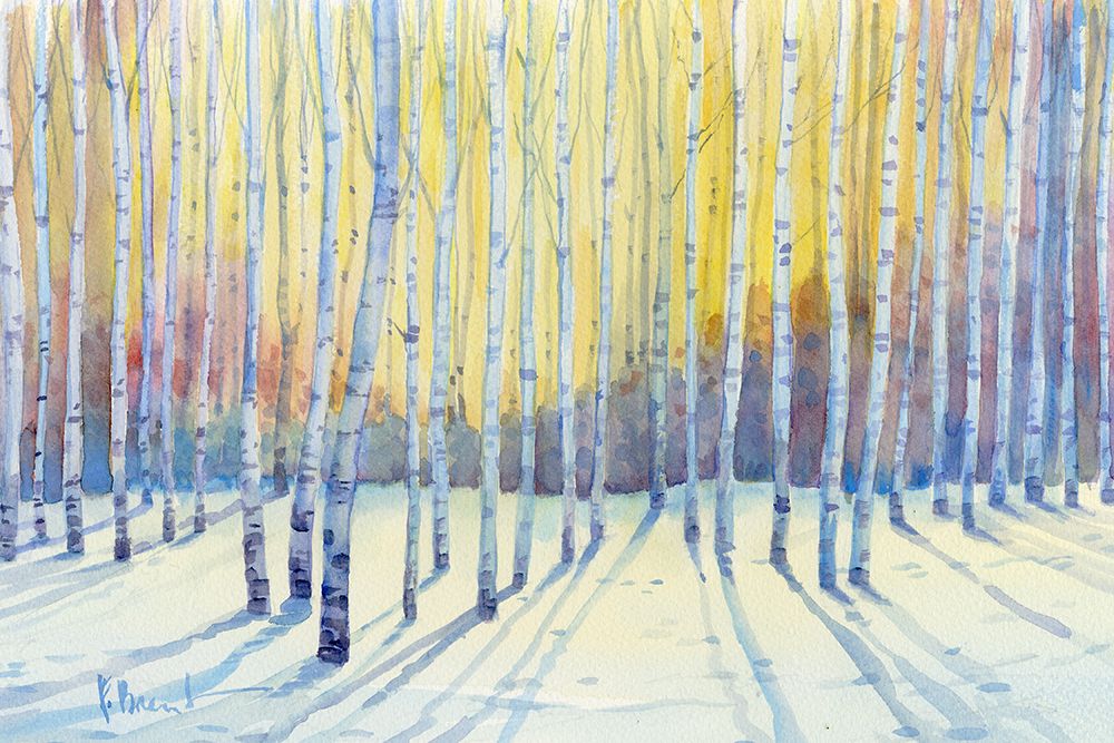 Winter White Birch Grove Watercolor art print by Paul Brent for $57.95 CAD
